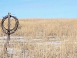 fence post with barbed wire Stock Footage