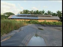 AP Television reports on farm where pig manure is used to create biogas News Clip