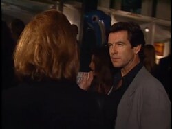 Save the Dolphins Event Stock Footage