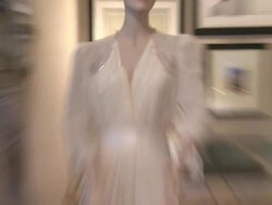 Elvis Presley Blue Suede Shoes and Princess Diana Stock Footage