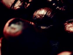 Coffee beans Stock Footage