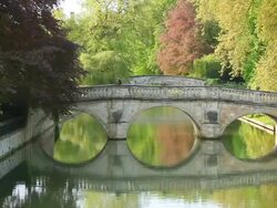 MS Shot of man walking on  bridge on River Cam behind kings College Cambridge / Cambridge, Cambridgeshire, United Kingdom Stock Footage