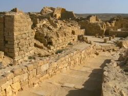MS PAN Ruins of Byzantine street / Shivta, Negev, Israel  Stock Footage