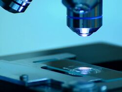 Scientist and bio lab experiment Stock Footage