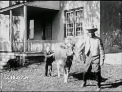 MOT: EARLY AMERICANA: WESTWARD EXPANSION REENACTMENT: CU Leaning rifle w/ butt in sand. Father, male leading cow by rope, son, boy following behind. Father tying rope to back of Conestoga covered wagon. Instructional Video