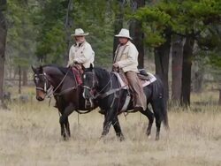 Cowboy and  Cowgirl riding on horseback Stock Footage