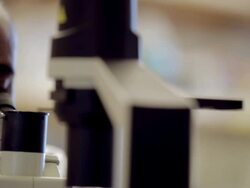 ECU Male laboratory technician looking into microscope at Cancer research Healthcare medicine  Industry DNA sequencing Laboratory / Vancouver, BC, Canada    Stock Footage