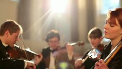 People playing instruments in orchestra Stock Footage