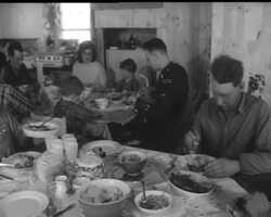 COLD COMFORT FARM News Clip