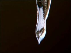 Dripping icicle, Parque Natural Sierra Nevada, Andalucia, Spain Stock Footage