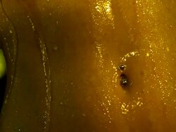 Extreme Close Up, Pan-right Tilt-down - Water runs down the naked torso and pierced belly button of a woman / USA Stock Footage