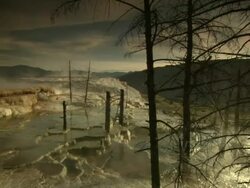 Wide Shot pan-left - Steam drifts across mountains and trees at Mammoth Hot Springs in Yellowstone National Park. / Yellowstone National Park, Wyoming, USA Stock Footage