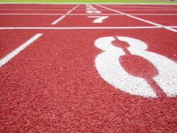 Track running Stock Footage