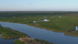 River and marsh outside of Mobile, Alabama. Stock Footage