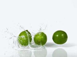 CU SLO MO Shot of Green Lemons, citrus aurantifolia, Fruits falling on Water and splashing against White Background / Calvados, Normandy, France Stock Footage