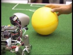 Japan - Robot pet News Clip