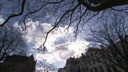 People walking in Brussels' historic city centre News Clip