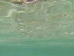 Emerging from the Trevi Fountain in Rome Stock Footage