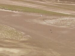 WS AERIAL View of paragliding with landscape / Languedoc Roussillon, France Stock Footage
