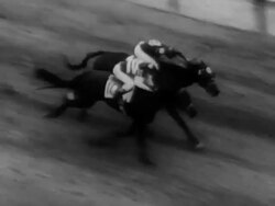 87th Kentucky Derby, horse of the year Stock Footage