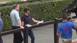 CLEAN : Top sales at prestigious Deauville yearlings auction News Clip