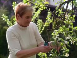 Woman gardening Stock Footage