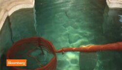 The Growing Popularity of Peru's National Drink News Clip