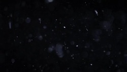 Flying Organic Particles in Motion Stock Footage