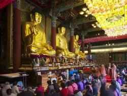 Worshippers inside Jogyesa Temple, Jongno-gu district, Seoul, South Korea, Asia Stock Footage