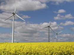 HD Wind Farm on Canola Field Stock Footage