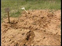YUGOSLAVIA: KOSOVO: MASS GRAVES: FRESH EVIDENCE EMERGES News Clip