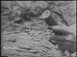 Female Explosives Technician News Clip