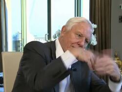 INTERVIEW: Sir David Attenborough on what works well in 3D at Sir David Attenborough Interview at Mayfair Exchange on December 11, 2012 in London, England.  Stock Footage