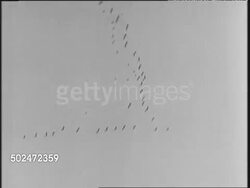 Hunting Season Starts at Klamath Falls Game Refuge News Clip