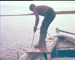 GALWAY OYSTER FESTIVAL News Clip