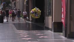 Flowers placed on Theodore Bikel's Walk of Fame star News Clip