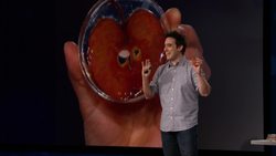 TED: This scientist makes ears out of apples | Andrew Pelling Instructional Video