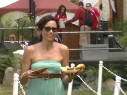 Minnie Driver at the Elizabeth Glaser Pediatric AIDS Foundation's 22nd Annual 'A Time For Heroes' Celebrity Carnival at Los Angeles CA. (Footage by WireImage Video/Getty Images Entertainment Video) Stock Footage