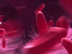 Animation Endoscopic POV of blood corpuscles moving through blood vessel leading into bright light Stock Footage