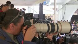 Mexico announces bill to decriminalise marijuana News Clip