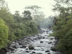 MS Floating river / Sideman, Indonesia  Stock Footage