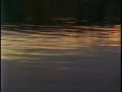 CU travelling along river at sunset, Uganda, Africa Stock Footage