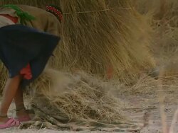 MS TS Shot of bush woman grabbing straw and placing it on roof of hut / Limpopo, South Africa Stock Footage