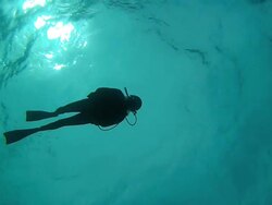 One Diver Stock Footage