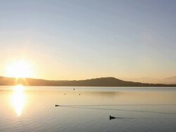 Ducks float across calm lake surface, sunset Stock Footage