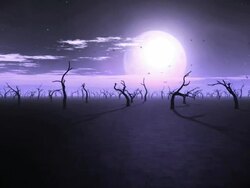 Death forest. Stock Footage