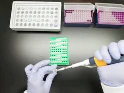 Preparing samples Stock Footage