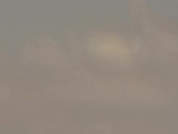 Sea Gulls Series 1080p Stock Footage