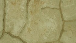 (Drone) Birdseye Zoom of Woman in the Desert 03 Stock Footage