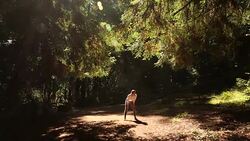 A young women running, working out, stretching and checking her mobile device outdoors on a sunny day. Stock Footage